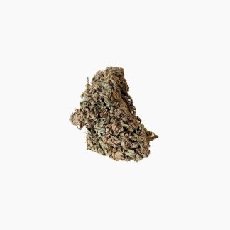 SA Homegrown OD