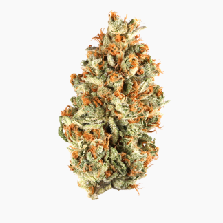 Red Cherry Berry